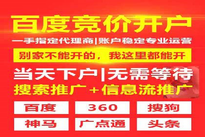 SEM外包在提高搜索引擎排名中的应用案例